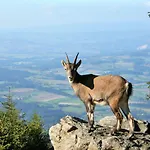 In Ruhiger Lage- Panorama Terrasse, 2 Sz, Rollstuhlfreundlich Apartamento