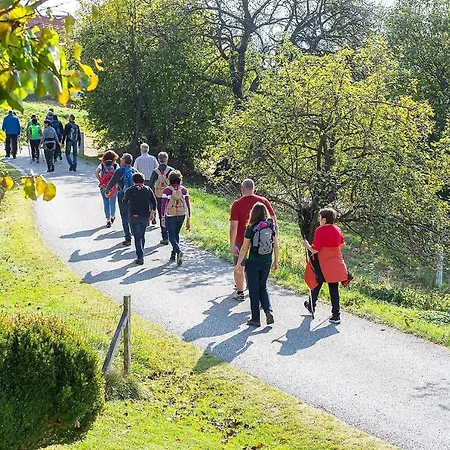 Apartman In Ruhiger Lage- Panorama Terrasse, 2 Sz, Rollstuhlfreundlich Pöllauberg