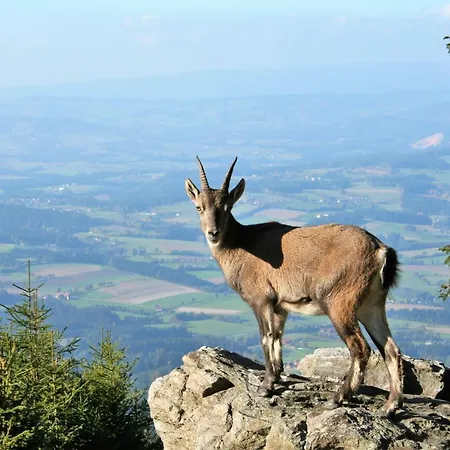Rollstuhlfreundliche In Ruhiger Lage- Panorama Terrasse, 2 Sz شقة