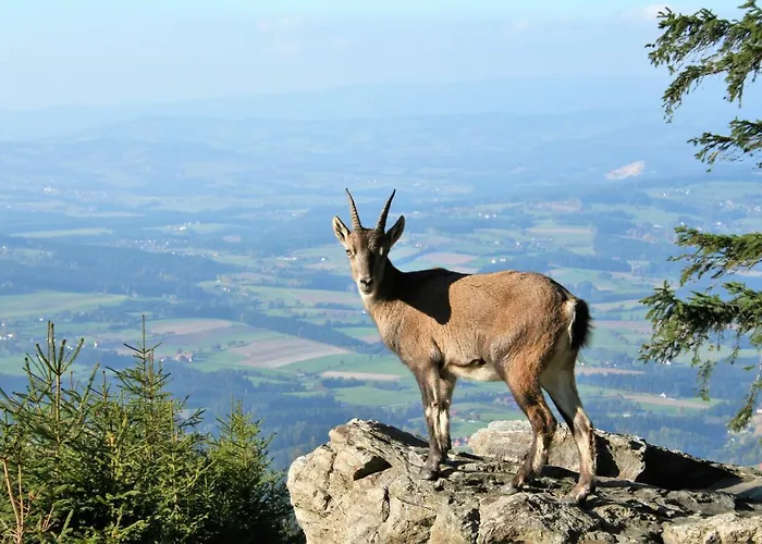 In Ruhiger Lage- Panorama Terrasse, 2 Sz, Rollstuhlfreundlich Apartman